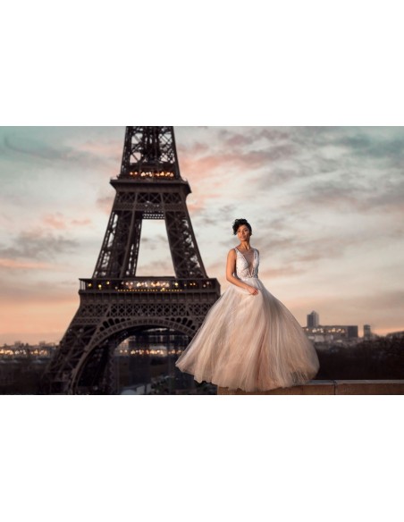 VENTANA DIFUSORA CON NIDO DE ABEJA SNAPLUX STRIBOX 35 X 75 CM ELINCHROM-EL26637