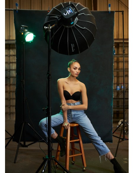 VENTANA DIFUSORA CON NIDO DE ABEJA SNAPLUX STRIBOX 35 X 75 CM ELINCHROM-EL26637