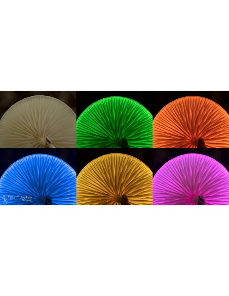 PAVOTUBE II 6C CON BATERÍA NANLITE- NA152017