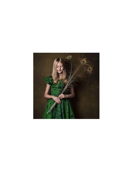 FONDO PAPEL LASTOLITE MARRÓN OSCURO CONKER 2,75 X 11 M.- LLLP9016