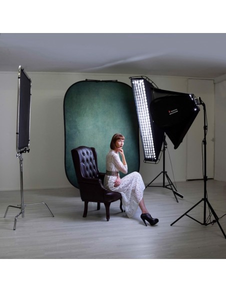 FONDO PLEGABLE DOBLE CARA SERIE VINTAGE INK/ SAGE 1.5 X 2.1 M MANFROTTO - LLLB5720