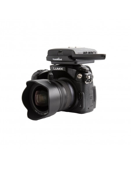 TRANSCEPTOR FLEX TT5 PARA PANASONIC POCKETWIZARD - PWFLEXPCE