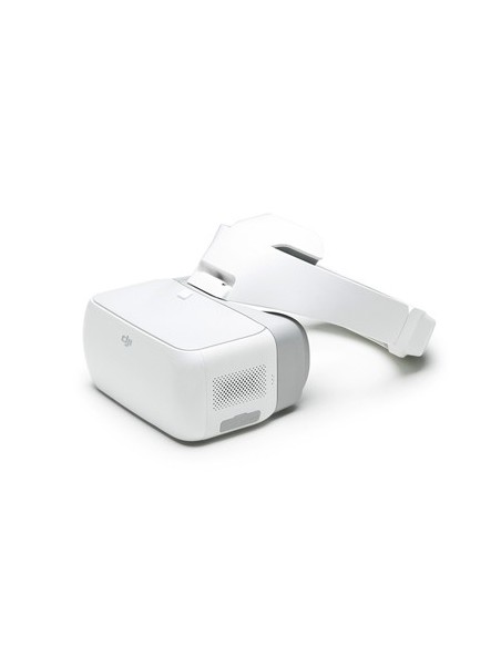 DJI Goggles